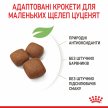 Фото 10 - сухой корм Royal Canin GIANT JUNIOR (ЮНИОРЫ ГИГАНТСКИХ ПОРОД) корм для щенков от 8-24 месяцев