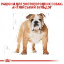 Фото - сухий корм Royal Canin BULLDOG ADULT (АНГЛІЙСЬКИЙ БУЛЬДОГ ЕДАЛТ) корм для собак від 12 місяців