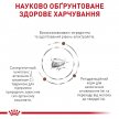 Фото 3 - ветеринарні корми Royal Canin GASTROINTESTINAL KITTEN ветеринарна дієта для кошенят від 2 до 10 місяців при порушеннях травлення