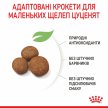 Фото 14 - сухой корм Royal Canin GIANT PUPPY корм для щенков гигантских пород от 2 до 8 месяцев