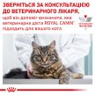 Фото - ветеринарні корми Royal Canin HEPATIC HF26 (ГЕПАТИК) сухий лікувальний корм для котів від 1 року