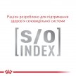 Фото 4 - ветеринарные корма Royal Canin GASTROINTESTINAL GI32 (ГАСТРО ИНТЕСТИНАЛ) сухой лечебный корм для кошек от 1 года