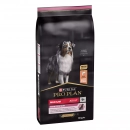 Фото - сухий корм Purina Pro Plan (Пурина Про План) Adult Medium Sensitive Skin Salmon сухий корм для собак середніх порід з чутливою шкірою ЛОСОСЬ