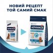 Фото - сухой корм Advance (Эдванс) Dog Medium Adult - корм для взрослых собак средних пород (с курицей и рисом)