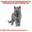 Фото - влажный корм (консервы) Royal Canin BRITISH SHORTHAIR ADULT влажный корм для кошек породы британская короткошерстная