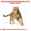 Фото - сухий корм Royal Canin BENGAL ADULT (БЕНГАЛ ЕДАЛТ) корм для котів від 1 року