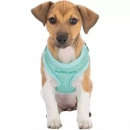 Фото 6 - амуніція Trixie Junior Puppy Soft Harness with Lead шлейка з повідцем для цуценят, м'ятний