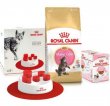Фото - сухий корм Royal Canin KITTEN MAINE COON (МЕЙН КУН КІТТЕН) корм для кошенят