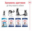 Фото 7 - сухий корм Royal Canin MAXI ADULT (СОБАКИ ВЕЛИКИХ ПОРІД ЕДАЛТ) корм для собак до 5 років