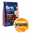 Фото - сухий корм Brit Premium Junior Small S Chicken сухий корм для цуценят та молодих собак дрібних порід КУРКА