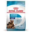 Фото - сухий корм Royal Canin MAXI STARTER MOTHER & BABYDOG корм для вагітних і годуючих сук і цуценят великих-порід