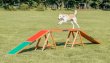 Фото 8 - дресирування та спорт Trixie Fun Agility Dogwalk доска тренировочная для собак (32090)