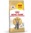 Фото - сухий корм Royal Canin BRITISH SHORTHAIR (БРИТАНСЬКА КОРОТКОШЕРСНА) корм для кішок