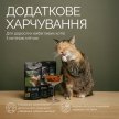 Фото 3 - лакомства Savory Cats Snacks Crunchy Balls лакомство для привередливых кошек С КОШАЧЬЕЙ МЯТОЙ