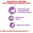 Фото - сухий корм Royal Canin STERILISED 7+ (СТЕРИЛІЗЕД 7+) корм для кішок старше 7 років