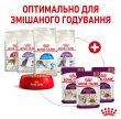 Фото - вологий корм (консерви) Royal Canin SENSORY FEEL GRAVY консерви для вибагливих кішок