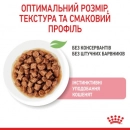 Фото - влажный корм (консервы) Royal Canin KITTEN INSTINCTIVE in GRAVY влажный корм для котят в возрасте 4-12 месяцев