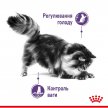 Фото - сухой корм Royal Canin APPETITE CONTROL (АППЕТИТ КОНТРОЛЬ) корм для стерилизованных кошек от 1 до 7 лет