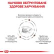 Фото - ветеринарные корма Royal Canin GASTRO INTESTINAL GI32 (ГАСТРО ИНТЕСТИНАЛ) сухой лечебный корм для кошек от 1 года