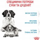 Фото - сухой корм Royal Canin MEDIUM STARTER MOTHER & BABYDOG корм для беременных и кормящих сук и щенков средних пород