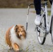 Фото 2 - велоаксесуари Trixie Biker-Set Holder for Saddlebar - Сполучна частина для велонабору для собак з кріпленням до велосипеда (1287-10)