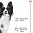 Фото 6 - влажный корм (консервы) Royal Canin X-SMALL ADULT влажный корм для собак миниатюрных пород