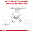 Фото 3 - ветеринарні корми Royal Canin DIABETIC сухий лікувальний корм для собак