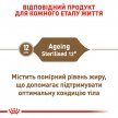 Фото 4 - сухий корм Royal Canin AGEING STERILISED 12+ (СТЕРИЛІЗЕД 12+) корм для літніх котів старше 12 років
