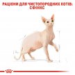 Фото - сухой корм Royal Canin SPHYNX (СФИНКС) корм для кошек от 1 года