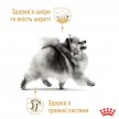 Фото - влажный корм (консервы) Royal Canin POMERANIAN ADULT (ПОМЕРАНСКИЙ ШПИЦ) влажный корм для собак от 8 месяцев