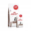 Фото 9 - ветеринарні корми Royal Canin GASTROINTESTINAL KITTEN ветеринарна дієта для кошенят від 2 до 10 місяців при порушеннях травлення