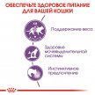 Фото 3 - вологий корм (консерви) Royal Canin STERILISED JELLY консервований корм для стерилізованих кішок