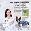 Фото 9 - попоны, воротники, ботинки Fovis Derby Fashion Style Camouflage послеоперационная попона для собак, камуфляж