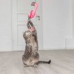 Фото 3 - іграшки Trixie Телескопічна вудка-дражнилка для котів ФЛАМІНГО (45646)