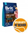 Фото - сухий корм Brit Premium Dog Sensitive Lamb & Rice сухий корм для собак з чутливим травленням ЯГНЯ та РИС