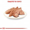 Фото 6 - влажный корм (консервы) Royal Canin POODLE LOAF (ПУДЕЛЬ) влажный корм для собак
