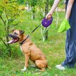Фото 8 - рулетки WAUDOG R-leash поводок рулетка с контейнером для пакетов, светоотражающая лента, фиолетовый