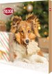 Фото - лакомства Trixie Advent Calendar рождественский календарь с лакомствами для собак (9268)