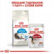 Фото - сухой корм Royal Canin INDOOR LONG HAIR 35 (ИНДУР ЛОНГ ДЛЯ ДЛИННОШЕРСТНЫХ) сухой корм для кошек до 7 лет