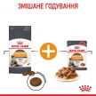 Фото - влажный корм (консервы) Royal Canin HAIR & SKIN Care in GRAVY корм для кошек