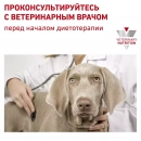 Фото - ветеринарні корми Royal Canin GASTRO INTESTINAL HIGH FIBRE лікувальний корм із підвищеним вмістом клітковини для собак при порушеннях травлення