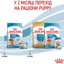 Фото - сухой корм Royal Canin MEDIUM STARTER MOTHER & BABYDOG корм для беременных и кормящих сук и щенков средних пород