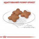 Фото - сухой корм Royal Canin MINI ADULT (СОБАКИ МЕЛКИХ ПОРОД ЭДАЛТ) корм для собак от 10 месяцев