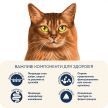 Фото 9 - сухой корм Home Food (Хоум Фуд) Cat Adult Turkey & Salmon полнорационный корм для кошек здоровая кожа и блеск шерсти ИНДЕЙКА и ЛОСОСЬ