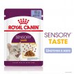 Фото - вологий корм (консерви) Royal Canin SENSORY TASTE JELLY консерви для котів вибагливих до смаку