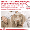 Фото 7 - ветеринарні корми Royal Canin SATIETY WEIGHT MANAGEMENT (КОНТРОЛЬ ВАГИ) вологий лікувальний корм для собак