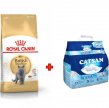 Фото 4 - сухой корм Royal Canin BRITISH SHORTHAIR (БРИТАНСКАЯ КОРОТКОШЕРСТНАЯ) корм для кошек