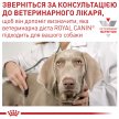 Фото 9 - ветеринарные корма Royal Canin MOBILITY SUPPORT (МОБИЛИТИ) сухой лечебный корм для собак  для здоровья суставов