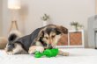 Фото 4 - іграшки Trixie Іграшка для ласощів для собак КРОКОДИЛ