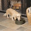 Фото 6 - миски, напувалки, фонтани PetSafe Drinkwell Current автоматична поїлка-фонтан для собак і котів